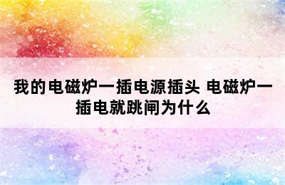 我的电磁炉一插电源插头 电磁炉一插电就跳闸为什么